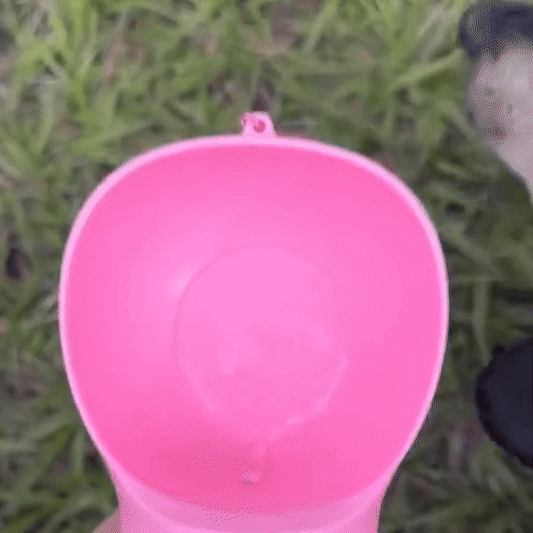 HydroPet™ — Todo para tu mascota en un solo accesorio 🐶