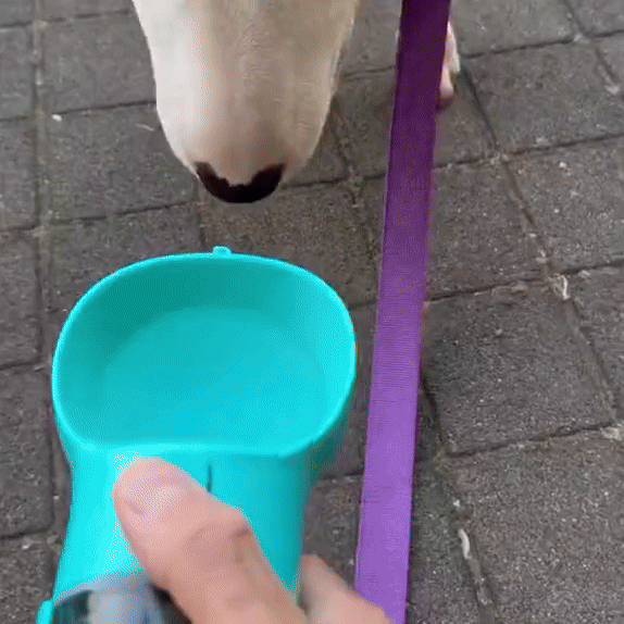 HydroPet™ — Todo para tu mascota en un solo accesorio 🐶